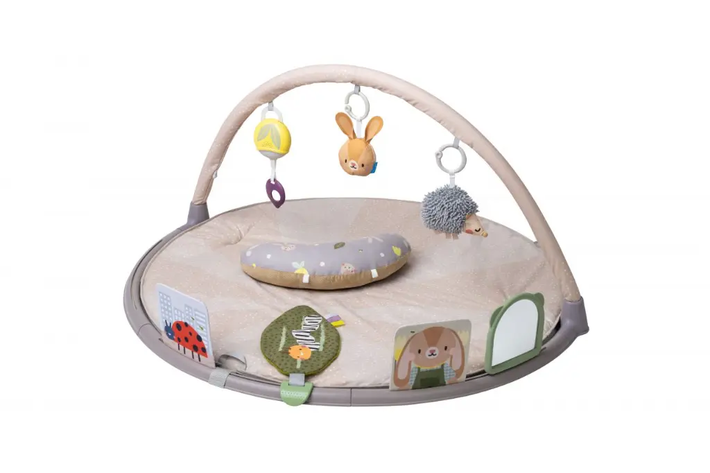 Tummy-Time Activity Gym