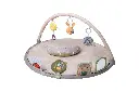 Tummy-Time Activity Gym