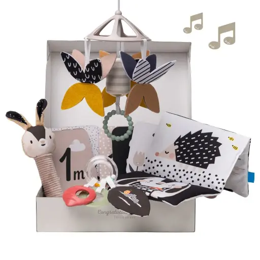 [13475-TAF] Black & White Newborn Kit
