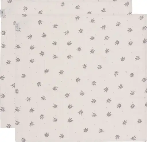 [01609-713] Doeken Tetra 2 Stuks 65x65cm Little Charm | Ecru