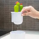 RS24797_B11326_Cacti_Lifestyle_04-lpr.webp