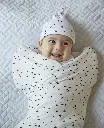 1587-08_1.webp