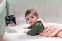 10109117_2082.webp