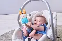 10094388_2788.webp