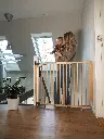 501416-m1.webp