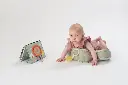 10108726_6280.webp