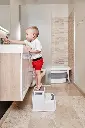 2129_01_two step stool_2.webp