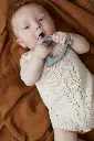 10108349_1694.webp