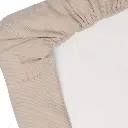 10109922_7337.webp