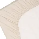 10109935_7853.webp