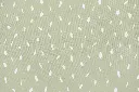 1011-225_2.webp