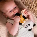 educational-toys-taf-toys-multicolor-taf-toys-educational-toy-pamela-134909-94900.webp