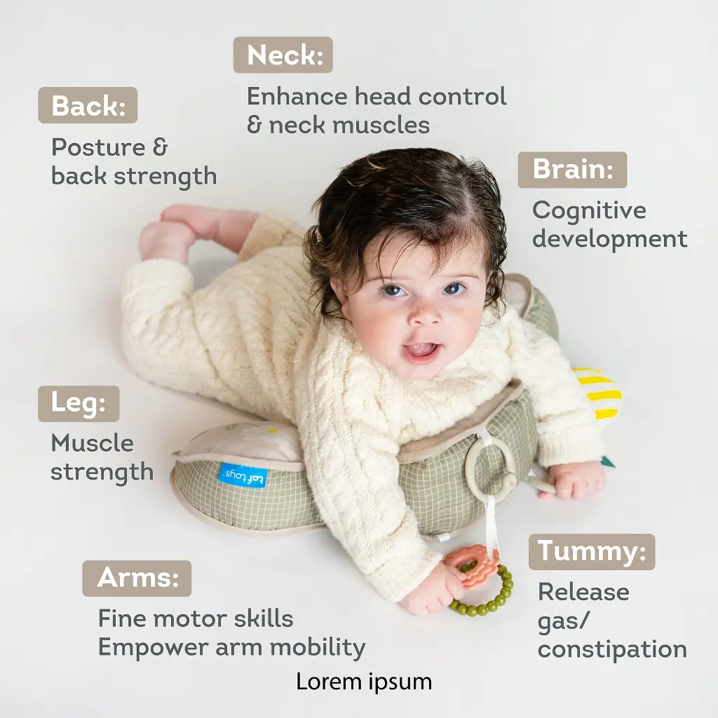 13715 & 13725 - Bear - Panda tummy time pillow amazon main 2000x2000-14 .webp