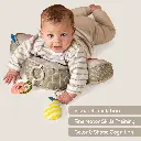 13715 & 13725 - Bear - Panda tummy time pillow amazon main 2000x2000-17 .webp