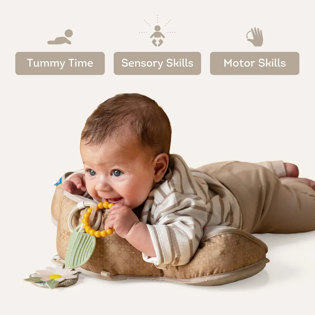 13715 & 13725 - Bear - Panda tummy time pillow amazon main 2000x2000-07 .webp
