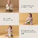 13735 & 13745 - stack-a-bear, stack-a-panda Amazon 2000x2000 -13 copy.webp