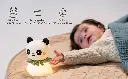 13695 & 13685  Night light Little Panda & Bear- A+ 20250317-06 copy.webp