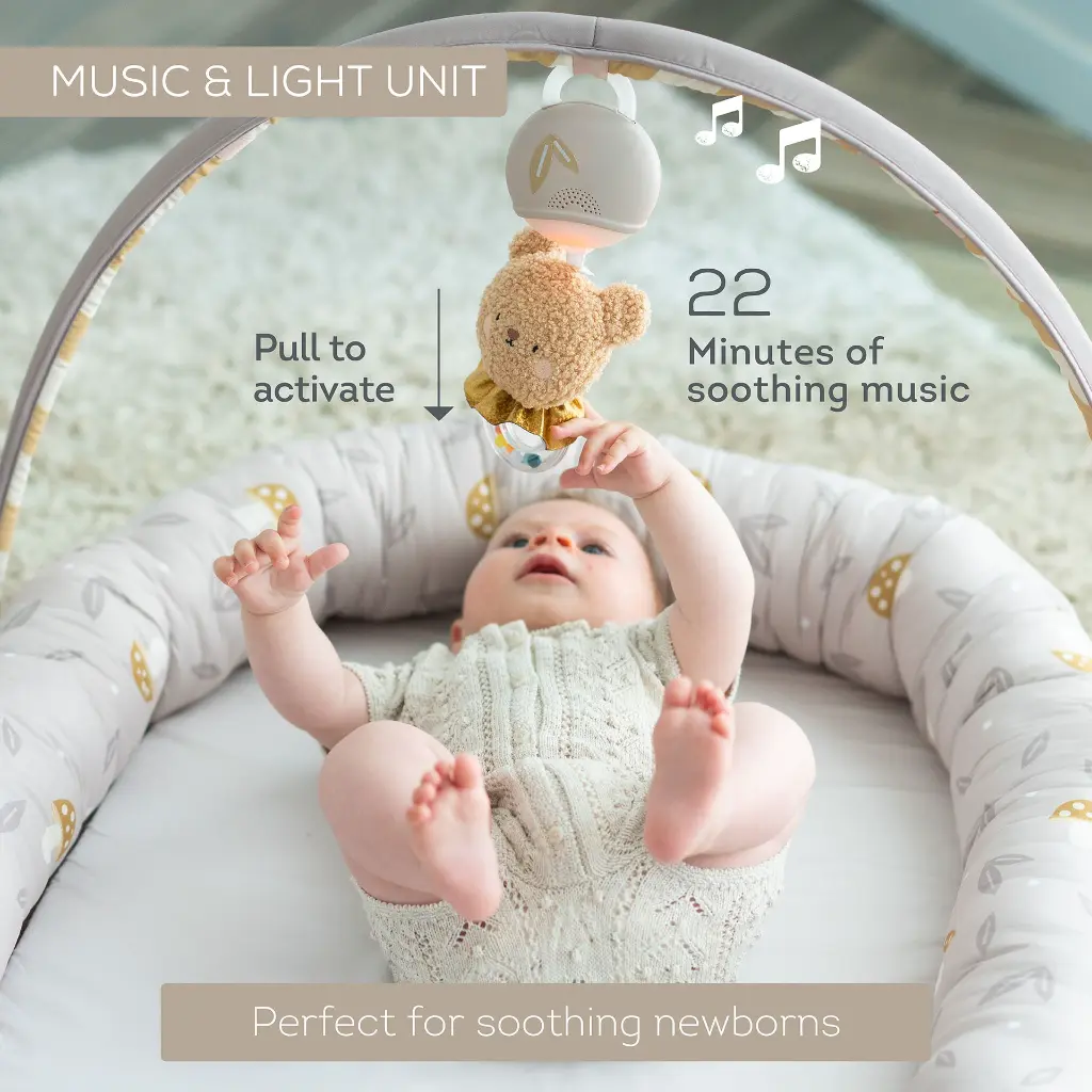 13785 - Little Explorer Lounger main pics Amazon 2000x2000 20250323-11 copy.webp