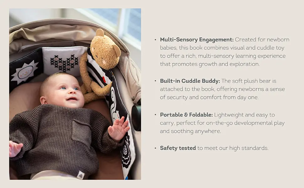 13795 - Snuggle Bear Book A+ amazon 20250622-03 copy.webp