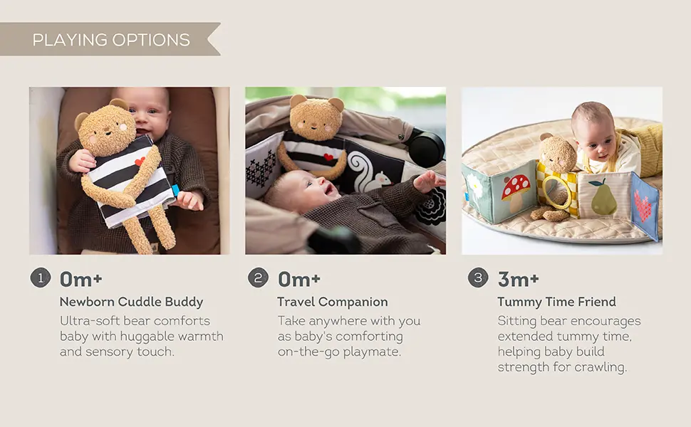 13795 - Snuggle Bear Book A+ amazon 20250622-06 copy.webp