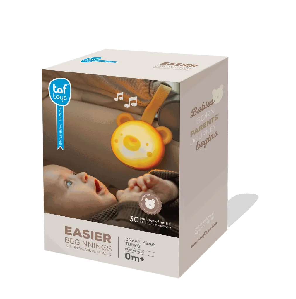 13815 Dream Bear Tunes.webp