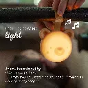 13815 - Dream Bear Tunes amazon 2000x2000-04 copy.webp