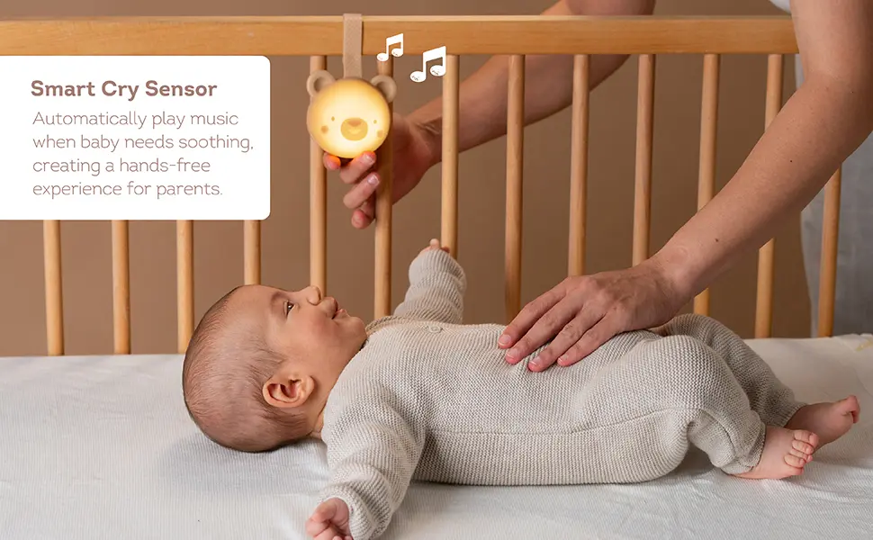 13815 - Dream Bear Tunes A+ amazon 20250630-04 copy.webp