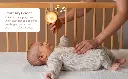 13815 - Dream Bear Tunes A+ amazon 20250630-04 copy.webp
