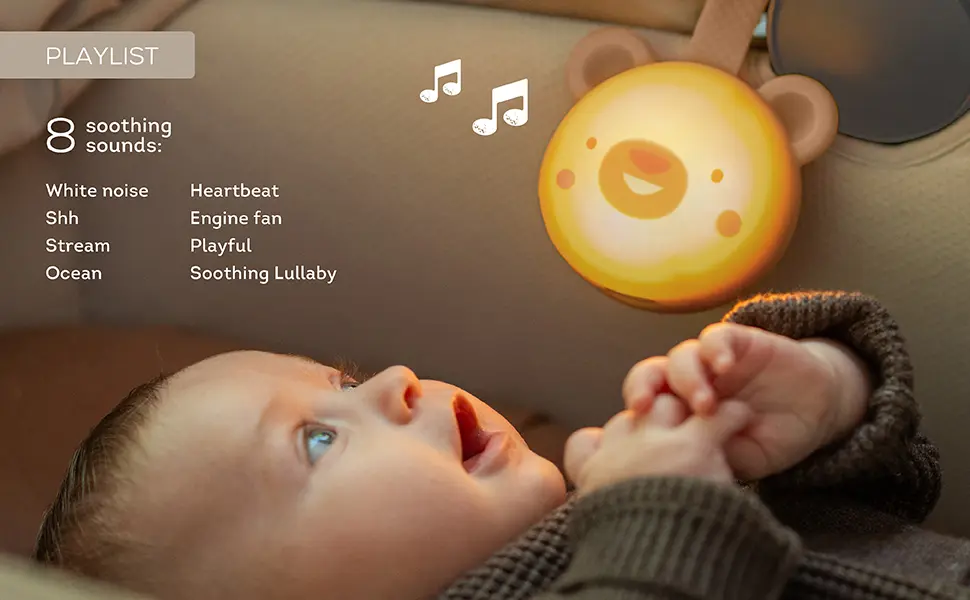 13815 - Dream Bear Tunes A+ amazon 20250630-06 copy.webp