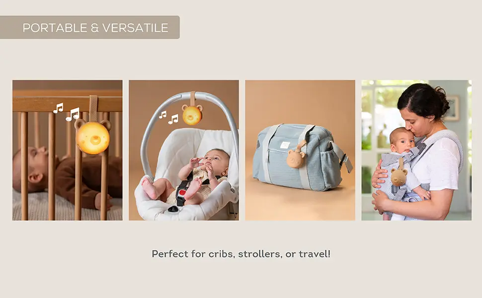 13815 - Dream Bear Tunes A+ amazon 20250630-07 copy.webp