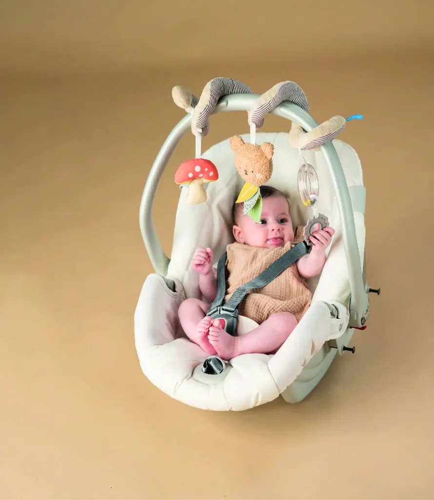 TAF_13865 Bear Hugs Spiral_1-29.webp