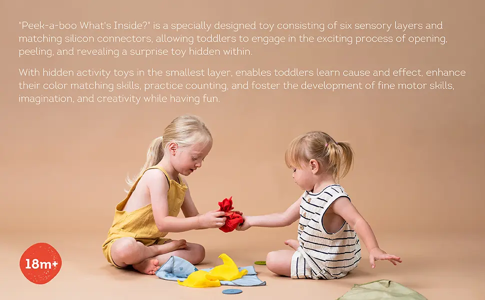 13335 peek-a-boo what's inside amazon970x600-02 copy.webp