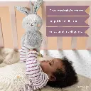 Rylee musical Bunny amazon 2000x2000 -04.webp