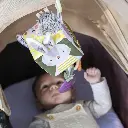 garden activity cube 5.webp