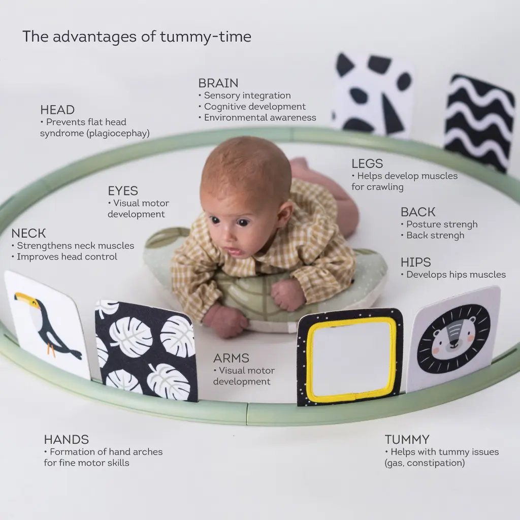 tummy-time trainer4.webp