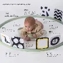 tummy-time trainer4.webp