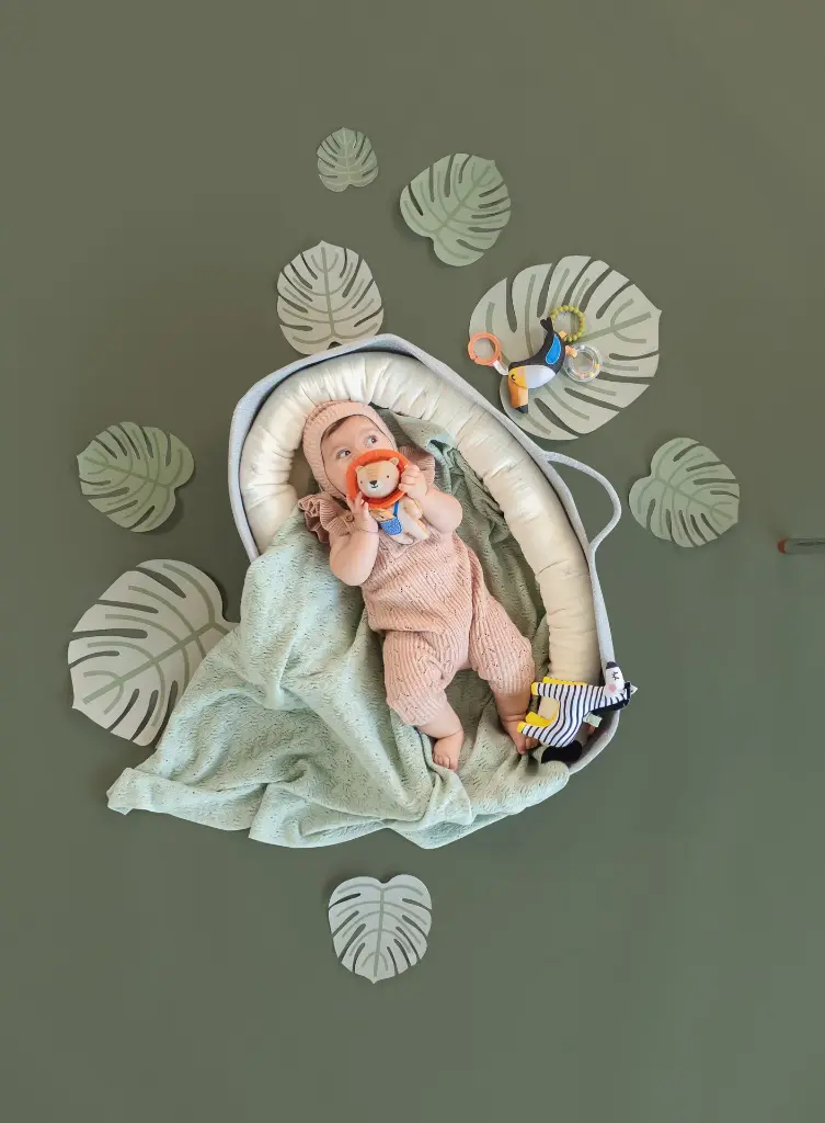 Taf toys lifestyle collection.webp