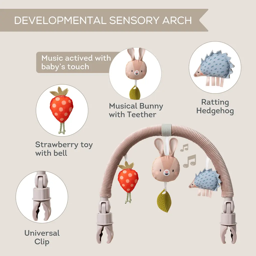 13415 - Musical Arch 2000x2000 Amazon-03.webp