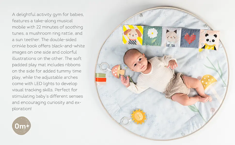 13495 - Fantasy Bloom Gym A+ amazon-02 copy.webp