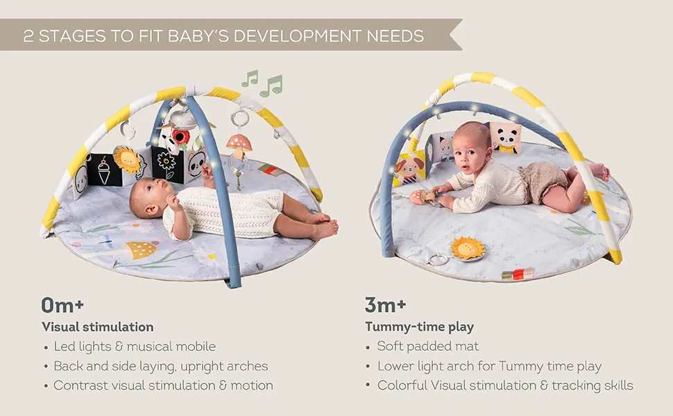 13495 - Fantasy Bloom Gym A+ amazon-05 copy.webp