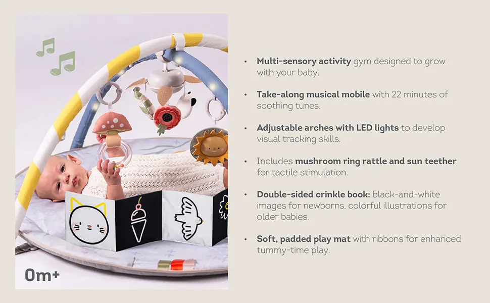 13495 - Fantasy Bloom Gym A+ amazon-03 copy.webp