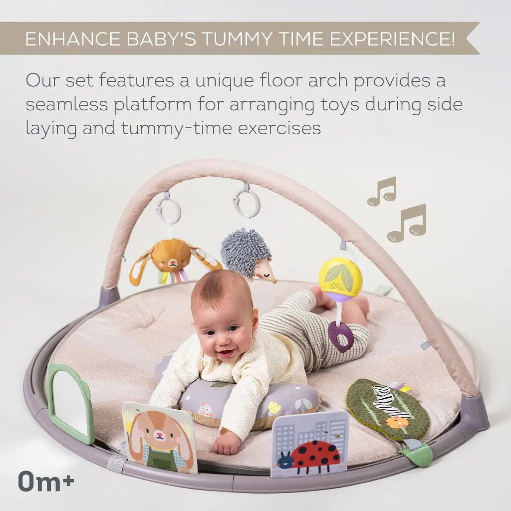 13395 Tummy Time Play Gym 2000x2000 Amazon-02 copy.webp