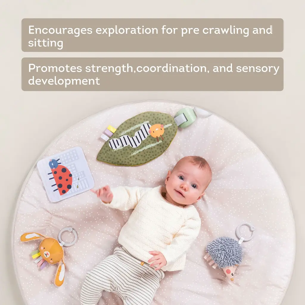 13395 Tummy Time Play Gym 2000x2000 Amazon-06 copy.webp