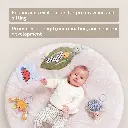 13395 Tummy Time Play Gym 2000x2000 Amazon-06 copy.webp