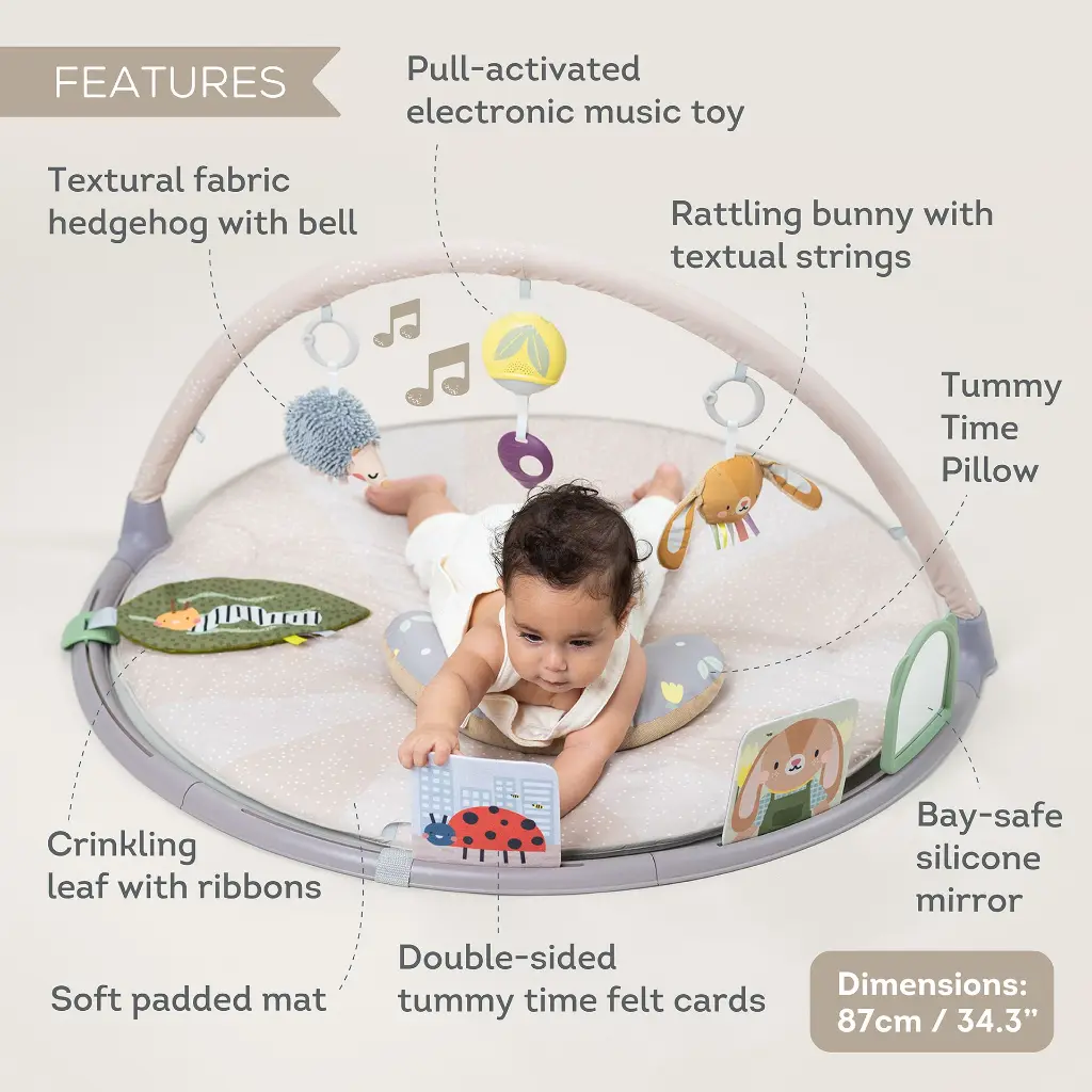 13395 Tummy Time Play Gym 2000x2000 Amazon-05 copy.webp