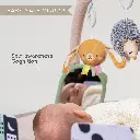 13395 Tummy Time Play Gym 2000x2000 Amazon-07 copy.webp