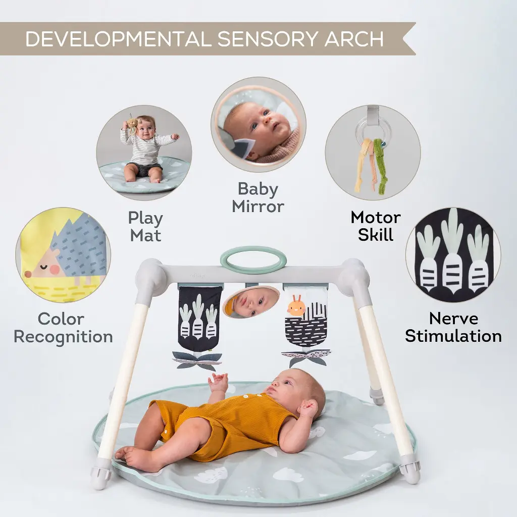 13075 Urban Garden Foldable Gym 2000x2000 Amazon-03 copy.webp