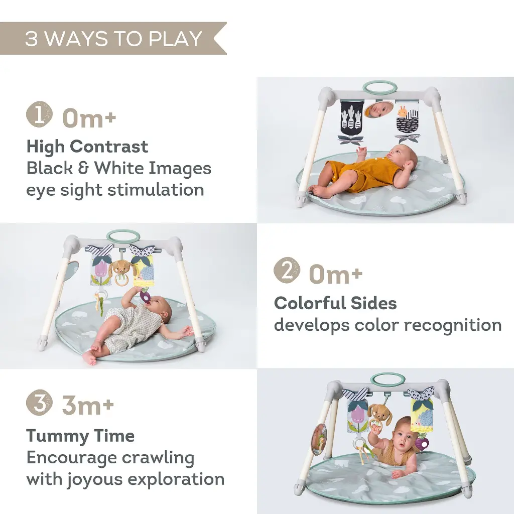 13075 Urban Garden Foldable Gym 2000x2000 Amazon-02 copy.webp