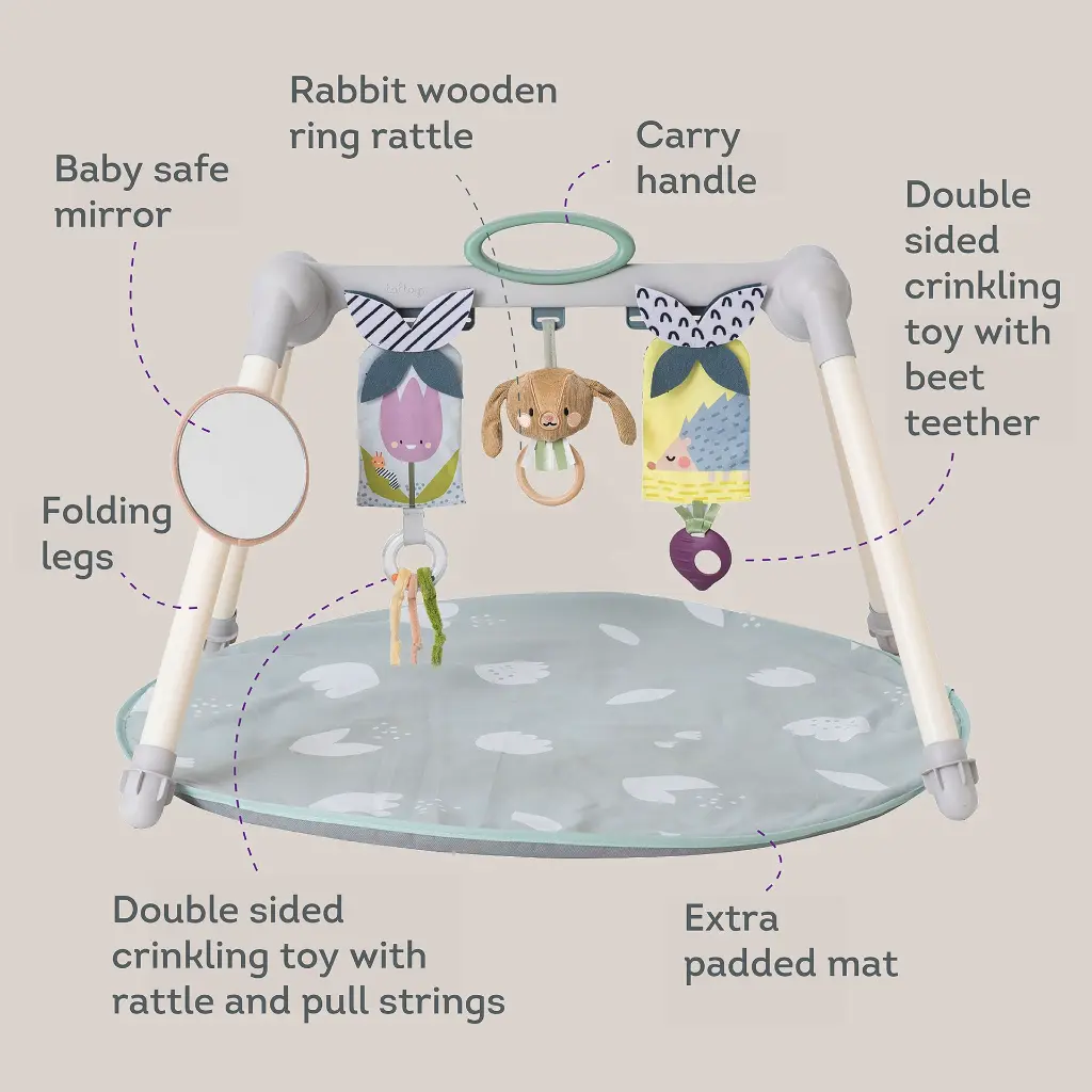 13075 Urban Garden Foldable Gym 2000x2000 Amazon-06 copy.webp