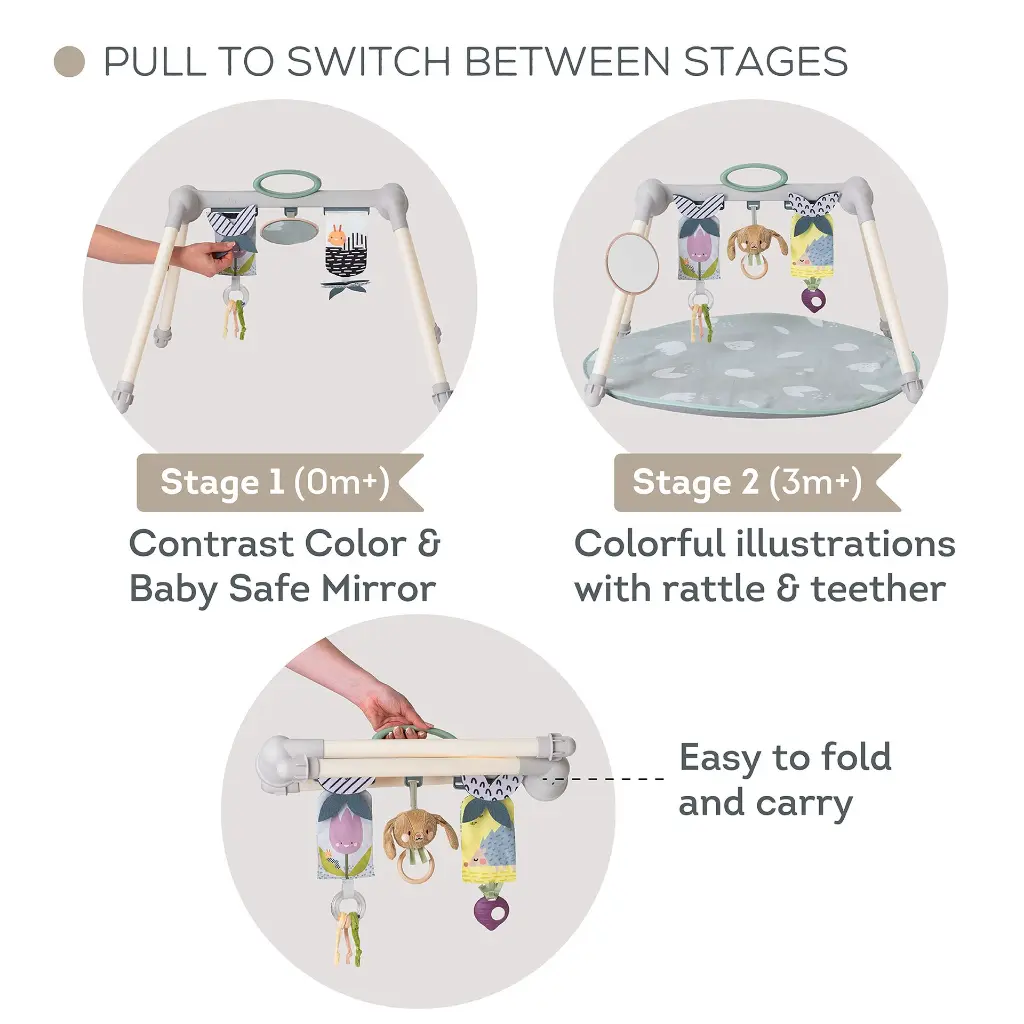 13075 Urban Garden Foldable Gym 2000x2000 Amazon-05 copy.webp